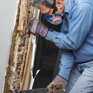 Termite Inspection & Pest Control